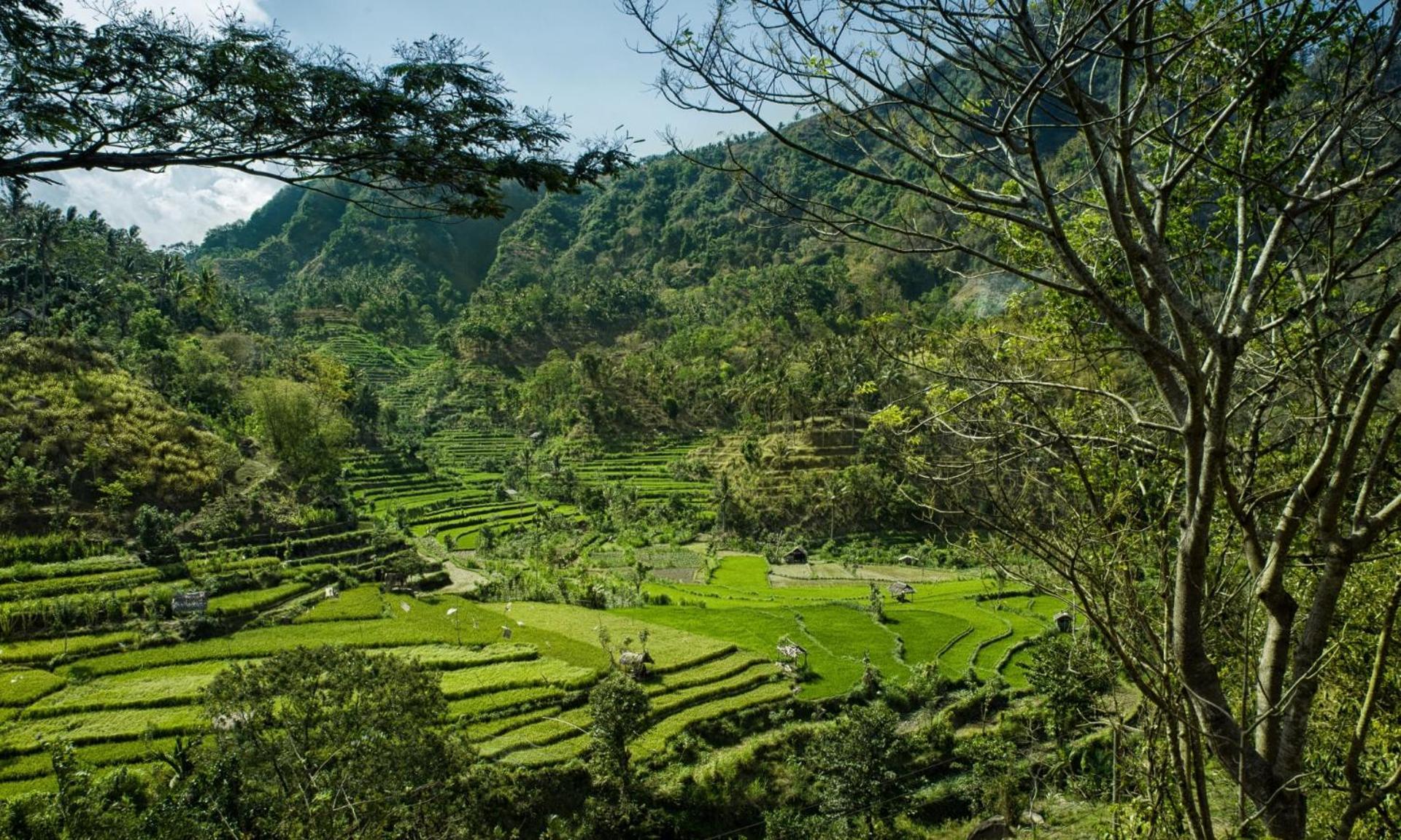 Retreat Villa Toraja Baturinggit Kubu Eksteriør billede